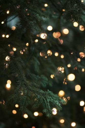 banner2